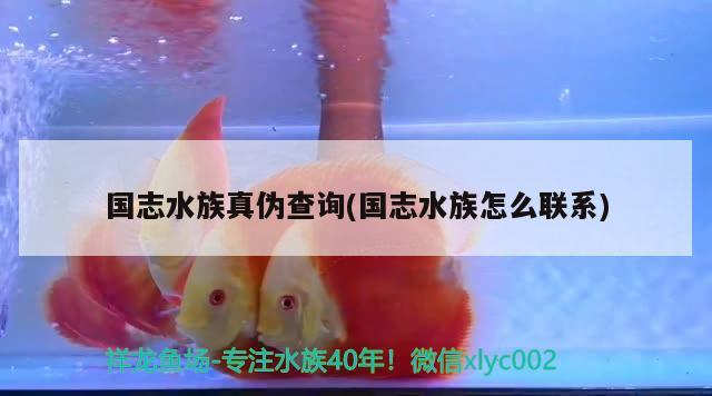 国志水族真伪查询(国志水族怎么联系)