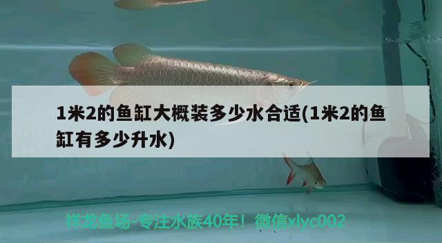 1米2的鱼缸大概装多少水合适(1米2的鱼缸有多少升水)