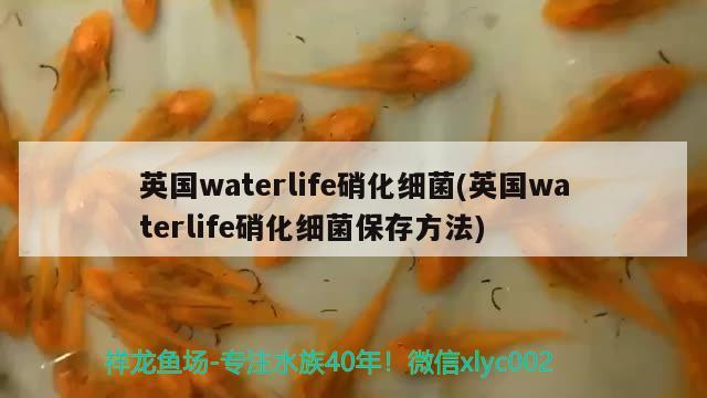 英国waterlife硝化细菌(英国waterlife硝化细菌保存方法) 硝化细菌 第2张