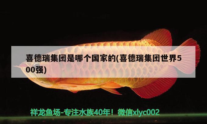 喜德瑞集团是哪个国家的(喜德瑞集团世界500强) 2024第28届中国国际宠物水族展览会CIPS（长城宠物展2024 CIPS）