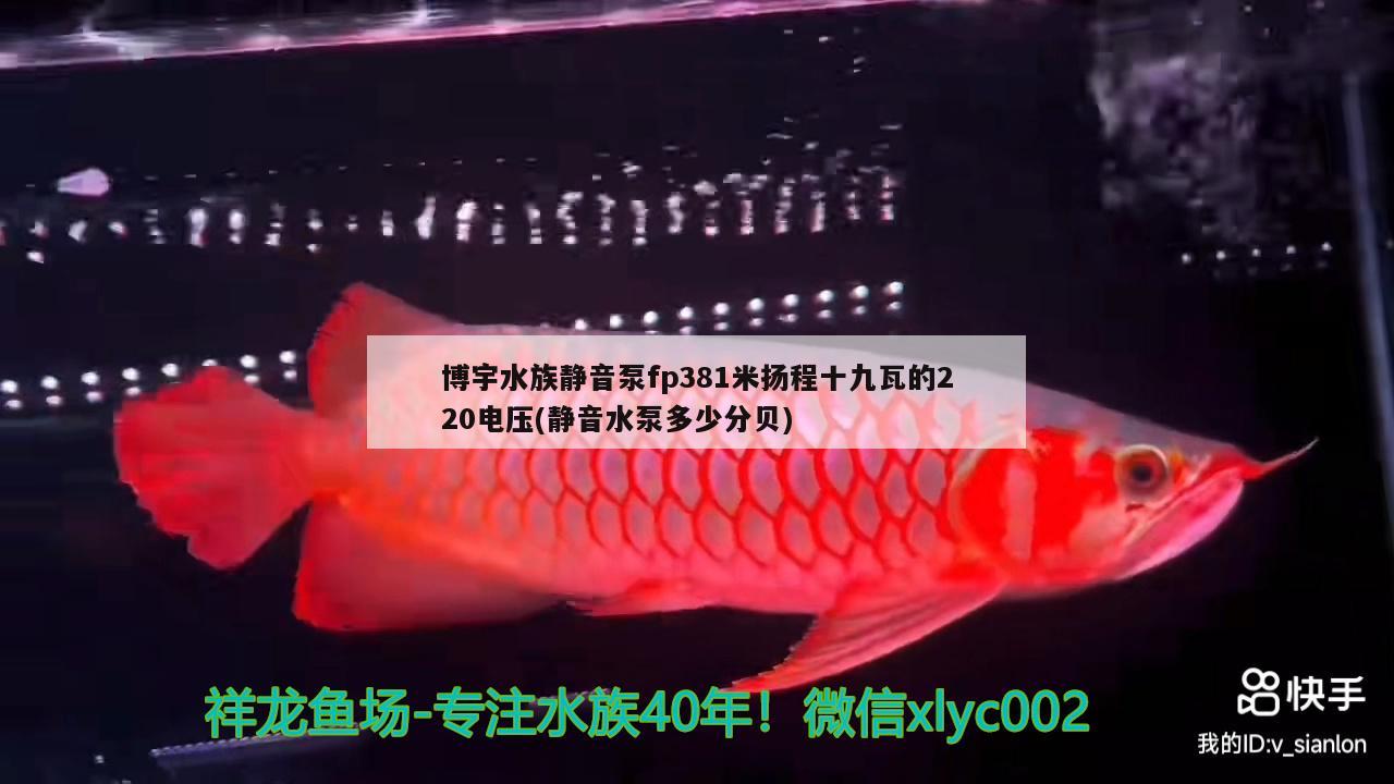 博宇水族静音泵fp381米扬程十九瓦的220电压(静音水泵多少分贝)