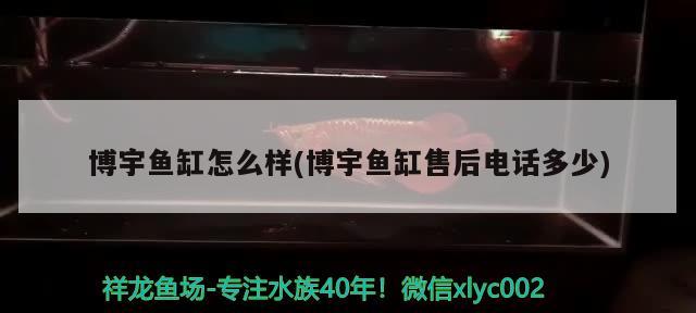 博宇鱼缸怎么样(博宇鱼缸售后电话多少) 2024第28届中国国际宠物水族展览会CIPS（长城宠物展2024 CIPS）