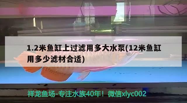 1.2米鱼缸上过滤用多大水泵(12米鱼缸用多少滤材合适)