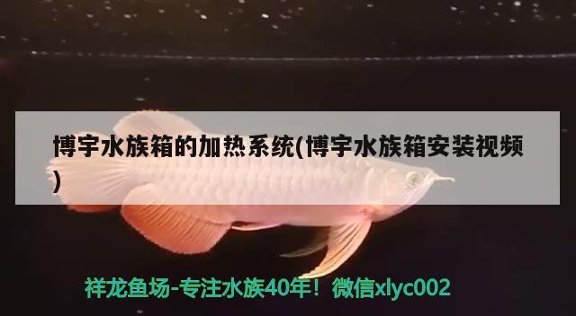 博宇水族箱的加热系统(博宇水族箱安装视频)