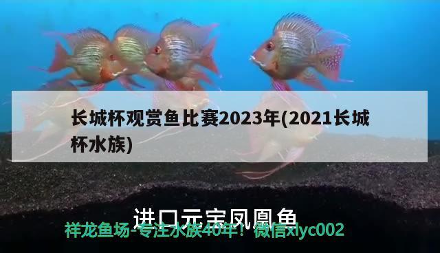 长城杯观赏鱼比赛2023年(2021长城杯水族) 2024第28届中国国际宠物水族展览会CIPS（长城宠物展2024 CIPS）