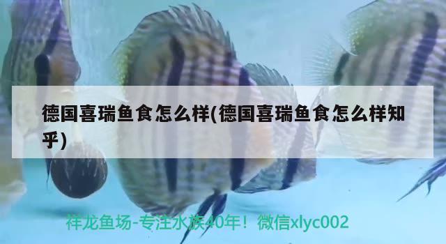 德国喜瑞鱼食怎么样(德国喜瑞鱼食怎么样知乎) 2024第28届中国国际宠物水族展览会CIPS（长城宠物展2024 CIPS）