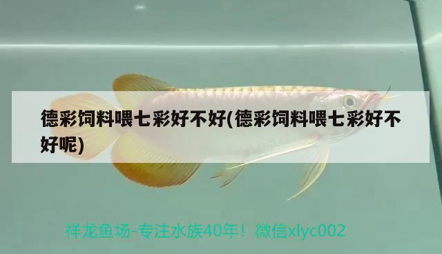 德彩饲料喂七彩好不好(德彩饲料喂七彩好不好呢) 2024第28届中国国际宠物水族展览会CIPS（长城宠物展2024 CIPS）