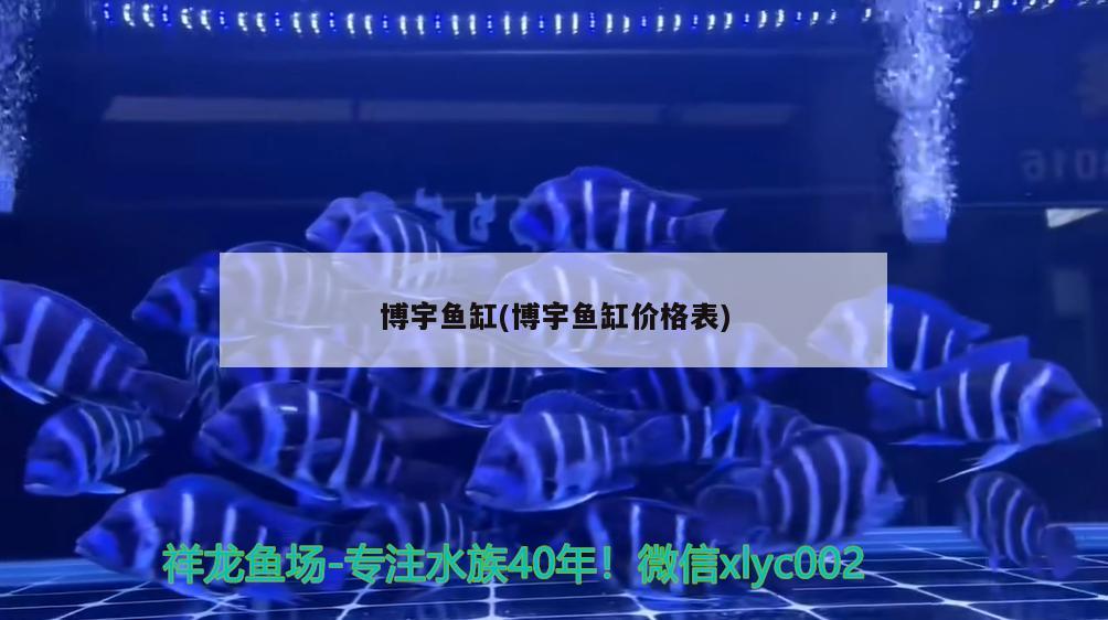 博宇鱼缸(博宇鱼缸价格表) 2024第28届中国国际宠物水族展览会CIPS（长城宠物展2024 CIPS） 第1张