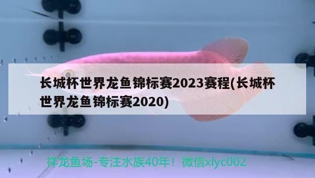 长城杯世界龙鱼锦标赛2023赛程(长城杯世界龙鱼锦标赛2020)