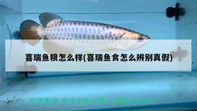 喜瑞鱼粮怎么样(喜瑞鱼食怎么辨别真假) 2024第28届中国国际宠物水族展览会CIPS（长城宠物展2024 CIPS）