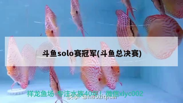 斗鱼solo赛冠军(斗鱼总决赛) 2024第28届中国国际宠物水族展览会CIPS（长城宠物展2024 CIPS）