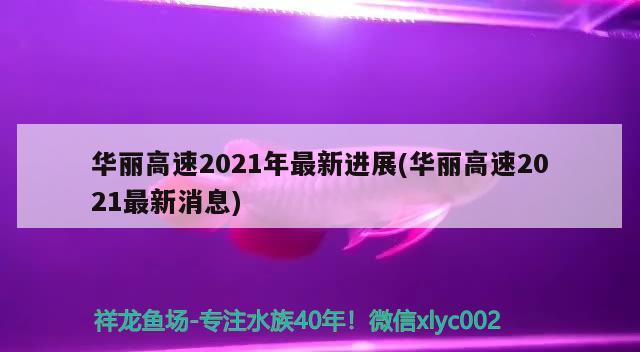 华丽高速2021年最新进展(华丽高速2021最新消息)