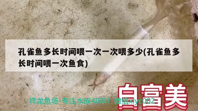 孔雀鱼多长时间喂一次一次喂多少(孔雀鱼多长时间喂一次鱼食) 观赏鱼 第1张