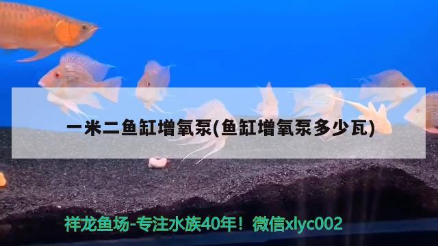 一米二鱼缸增氧泵(鱼缸增氧泵多少瓦)