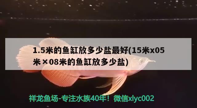 1.5米的鱼缸放多少盐最好(15米x05米×08米的鱼缸放多少盐) 黑金魟鱼