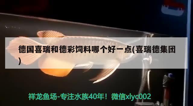 德国喜瑞和德彩饲料哪个好一点(喜瑞德集团) 2024第28届中国国际宠物水族展览会CIPS（长城宠物展2024 CIPS）