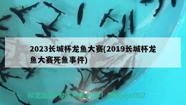 2023长城杯龙鱼大赛(2019长城杯龙鱼大赛死鱼事件)