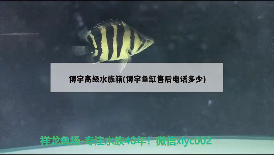 博宇高级水族箱(博宇鱼缸售后电话多少) 鱼缸/水族箱