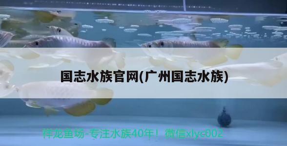 国志水族官网(广州国志水族)