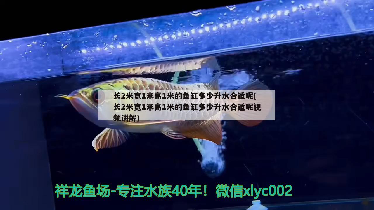 长2米宽1米高1米的鱼缸多少升水合适呢(长2米宽1米高1米的鱼缸多少升水合适呢视频讲解)