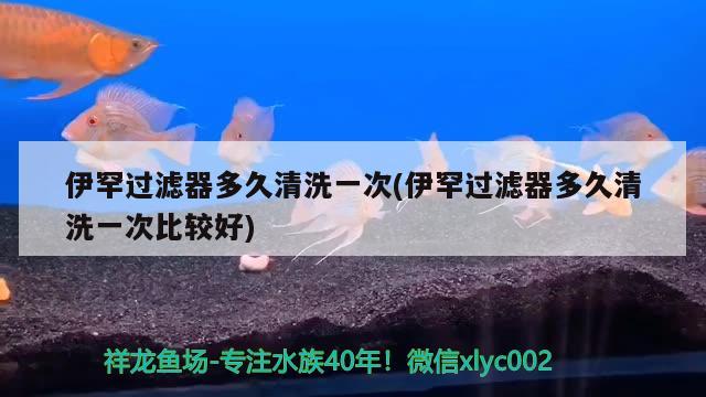 伊罕过滤器多久清洗一次(伊罕过滤器多久清洗一次比较好)