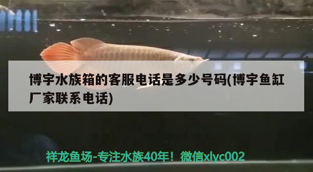 博宇水族箱的客服电话是多少号码(博宇鱼缸厂家联系电话)