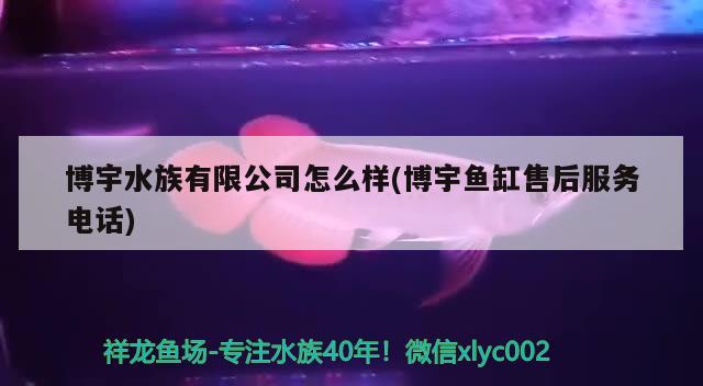 博宇水族有限公司怎么样(博宇鱼缸售后服务电话) 2024第28届中国国际宠物水族展览会CIPS（长城宠物展2024 CIPS）