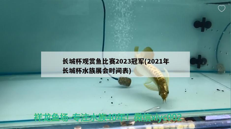 长城杯观赏鱼比赛2023冠军(2021年长城杯水族展会时间表) 水族展会