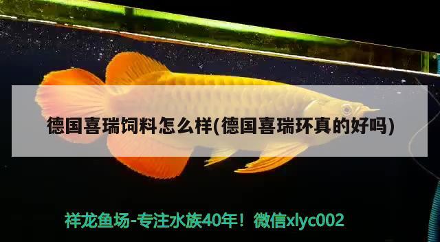 德国喜瑞饲料怎么样(德国喜瑞环真的好吗) 2024第28届中国国际宠物水族展览会CIPS（长城宠物展2024 CIPS） 第1张