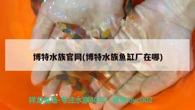 博特水族官网(博特水族鱼缸厂在哪)