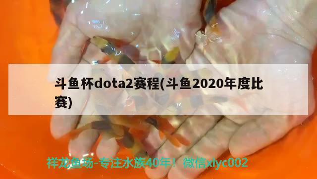 斗鱼杯dota2赛程(斗鱼2020年度比赛)