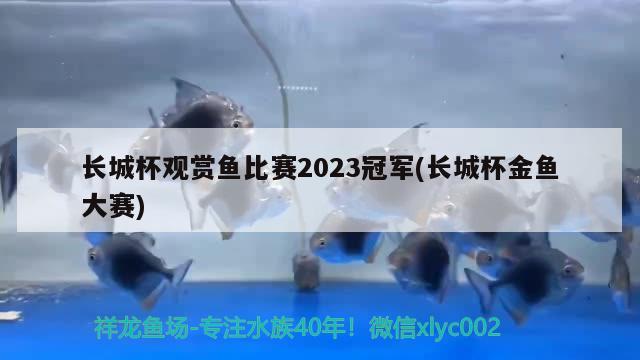 长城杯观赏鱼比赛2023冠军(长城杯金鱼大赛) 2024第28届中国国际宠物水族展览会CIPS（长城宠物展2024 CIPS）