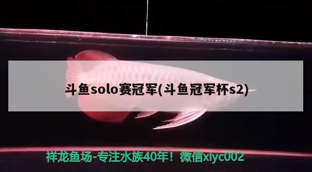 斗鱼solo赛冠军(斗鱼冠军杯s2)