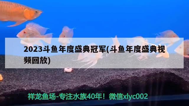 2023斗鱼年度盛典冠军(斗鱼年度盛典视频回放)