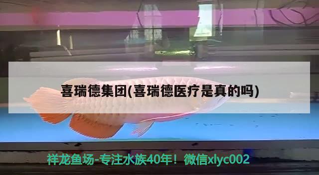 喜瑞德集团(喜瑞德医疗是真的吗) 2024第28届中国国际宠物水族展览会CIPS（长城宠物展2024 CIPS）