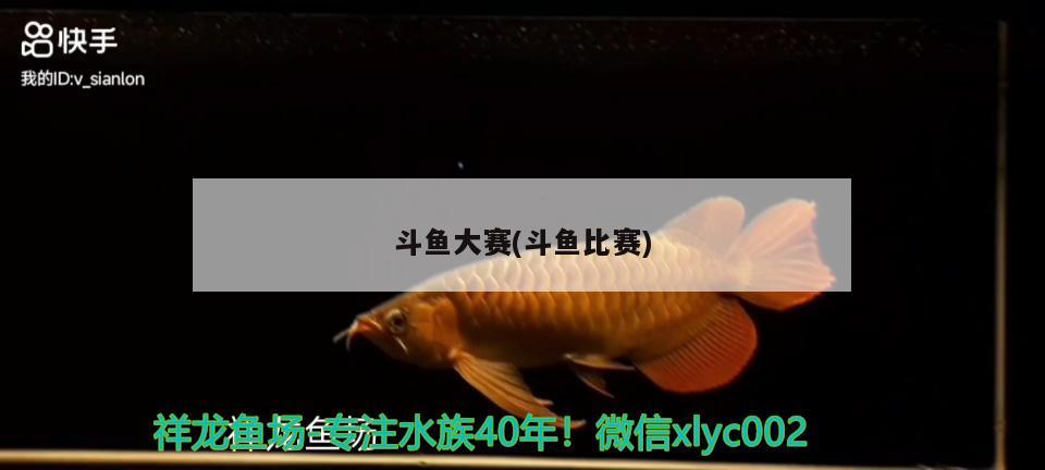 斗鱼大赛(斗鱼比赛) 2024第28届中国国际宠物水族展览会CIPS（长城宠物展2024 CIPS）