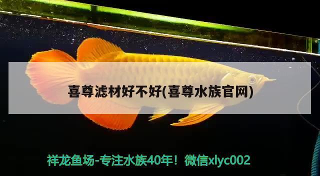 喜尊滤材好不好(喜尊水族官网) 2024第28届中国国际宠物水族展览会CIPS（长城宠物展2024 CIPS）