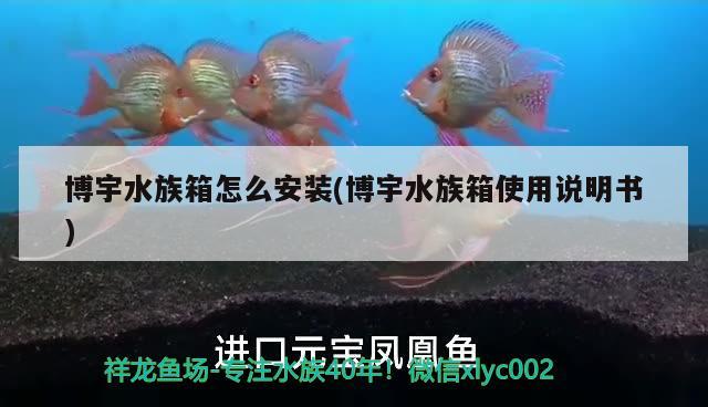 博宇水族箱怎么安装(博宇水族箱使用说明书) 鱼缸/水族箱