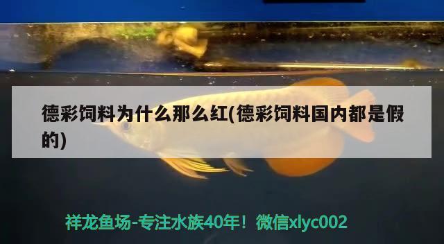 德彩饲料为什么那么红(德彩饲料国内都是假的) 2024第28届中国国际宠物水族展览会CIPS（长城宠物展2024 CIPS）