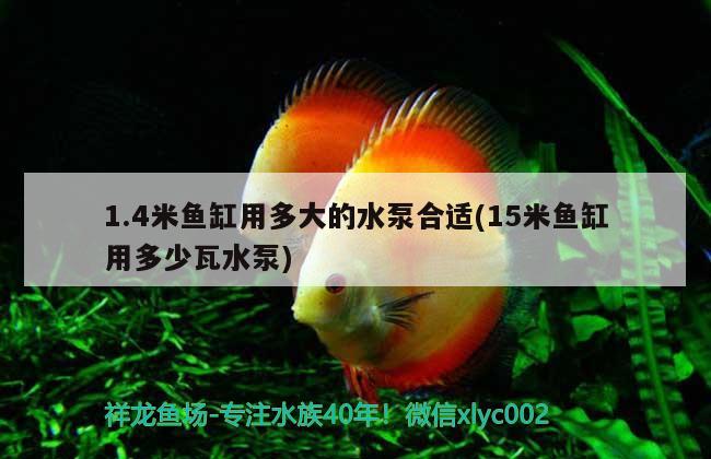 1.4米鱼缸用多大的水泵合适(15米鱼缸用多少瓦水泵) 白子关刀鱼苗