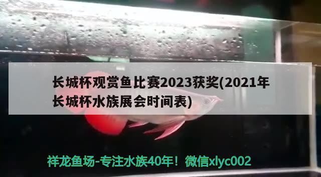 长城杯观赏鱼比赛2023获奖(2021年长城杯水族展会时间表)