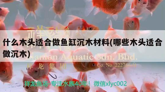 什么木头适合做鱼缸沉木材料(哪些木头适合做沉木)