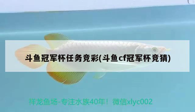 斗鱼冠军杯任务竞彩(斗鱼cf冠军杯竞猜) 2024第28届中国国际宠物水族展览会CIPS（长城宠物展2024 CIPS）