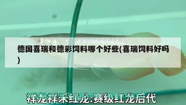 德国喜瑞和德彩饲料哪个好些(喜瑞饲料好吗) 2024第28届中国国际宠物水族展览会CIPS（长城宠物展2024 CIPS） 第2张