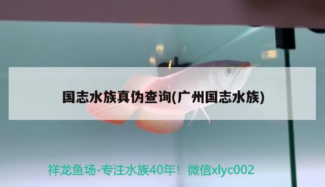 国志水族真伪查询(广州国志水族) 2024第28届中国国际宠物水族展览会CIPS（长城宠物展2024 CIPS）