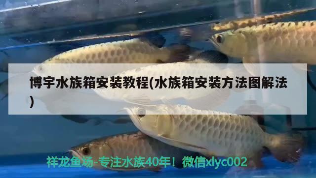 博宇水族箱安装教程(水族箱安装方法图解法) 鱼缸/水族箱