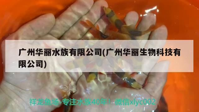 广州华丽水族有限公司(广州华丽生物科技有限公司)