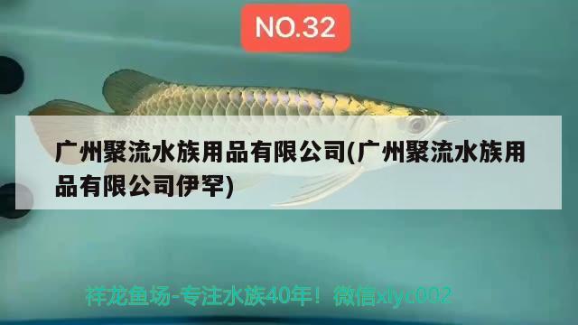 广州聚流水族用品有限公司(广州聚流水族用品有限公司伊罕)