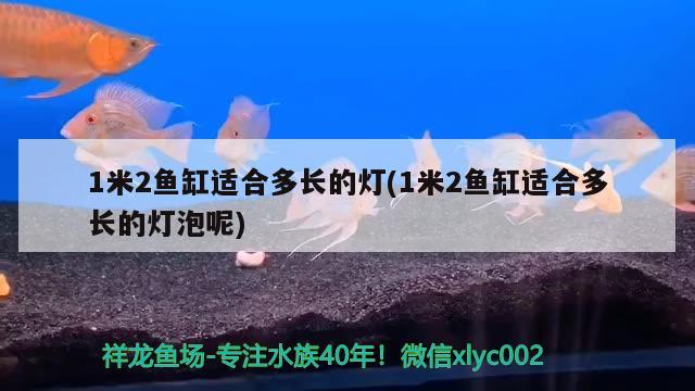 1米2鱼缸适合多长的灯(1米2鱼缸适合多长的灯泡呢) 赤荔凤冠鱼