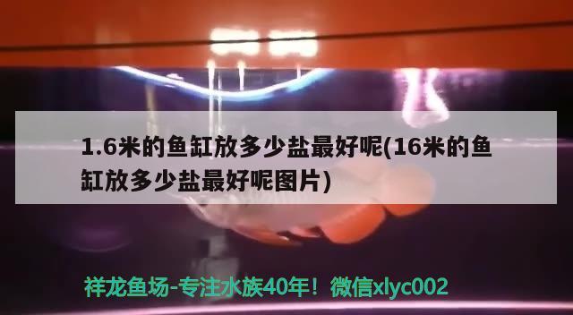 1.6米的鱼缸放多少盐最好呢(16米的鱼缸放多少盐最好呢图片) 委内瑞拉奥里诺三间鱼 第2张